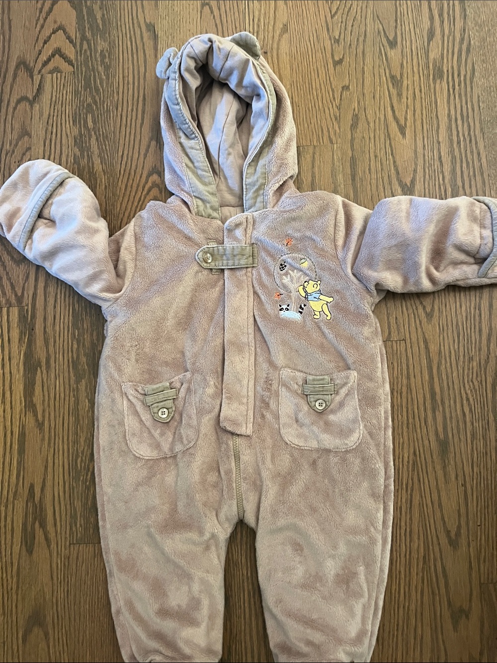 Plush Hooded Winnie the Pooh baby bunting